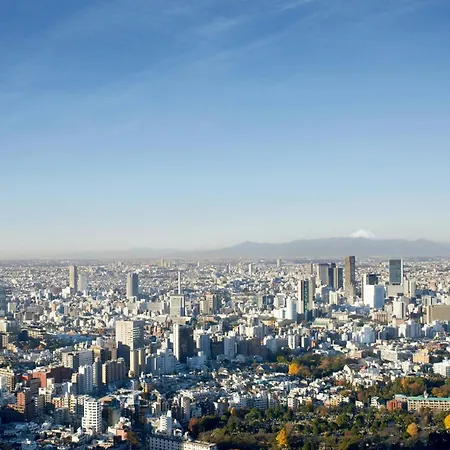 The Ritz-Carlton, Tokyo-3